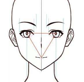 面部轮廓动漫图.jpg